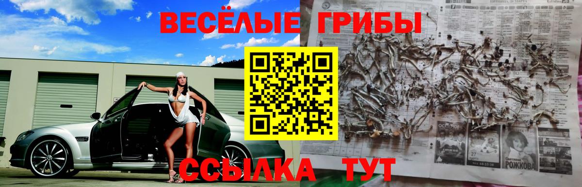 Псилоцибиновые грибы прущие грибы  Вход с VPN  Галлюциногенные грибы Psilocybine cubensis  Новосибирск 
